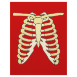 My Ribs Customized Letterhead