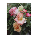 My roses postcard