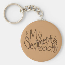 My Sediments Exactly Keychain