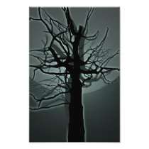 My Shade Photo