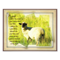 My Sheep Hear My Voice Print 8.5 x 11 Photograph