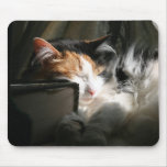 My sunbeam mouse pad