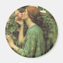 My Sweet Rose (Soul of the Rose) by Waterhouse Fridge Magnets