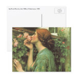 My Sweet Rose (Soul of the Rose) by Waterhouse postcards