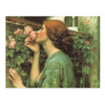 My Sweet Rose (Soul of the Rose) by Waterhouse Post Card