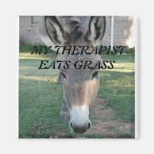 MY THERAPIST EATS GRASS Donkey Magnet