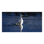 My Tiny Wings Picture Card