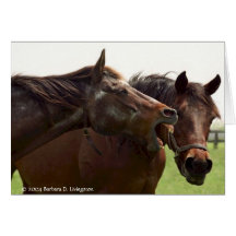 My Turbulent Miss Shares A Joke With Taba Cards