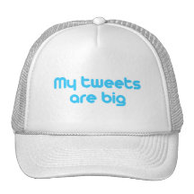 My tweets are big mesh hat