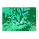 My Wild Irish Tabby
