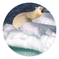 My World is melting! Round Stickers