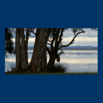 Myall Lakes posters