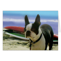 MyBreezy on the Beach Greeting Cards
