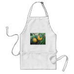 Myers Lemons Aprons