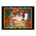 Myotonic Baby Goat Holiday Card cards