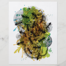 Myrmecophobia Flyers