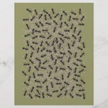 Myrmecophobia Personalized Flyer
