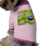 Myrtille Tee-shirt Pour Toutou