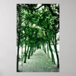 Mystery Posters