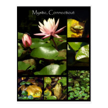 Mystic, Connecticut Post Card