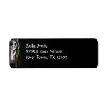 Mystic Friesian Custom Return Address Label