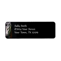 Mystic Friesian Custom Return Address Label