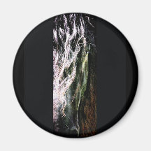 Mystic Friesian Magnet