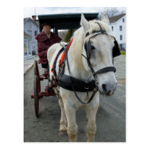 Mystic Horse Postcards