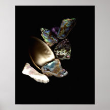 Mystic Shores Print