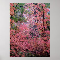 Mystical Autumn (1) Poster