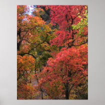 Mystical Autumn (2) Poster