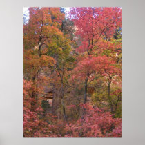 Mystical Autumn (4) Poster