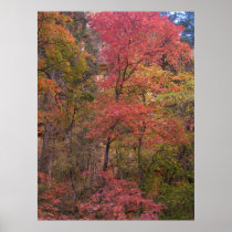 Mystical Autumn (5) Poster