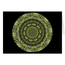Mystical Canopy Cards