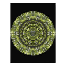 Mystical Canopy Photographic Print