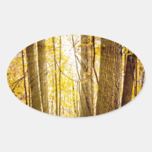 Mystical Forest Oval Stickers