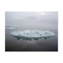 Mystical Icebergs Postcard