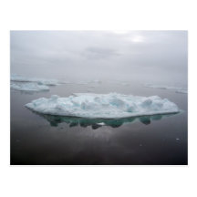 Mystical Icebergs Postcard