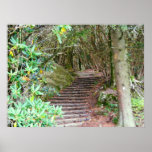 Mystical Stairway Poster