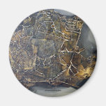 Mythical Forms Magnets