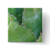 N.A., USA, Arizona, Tucson, Sonora Desert Button