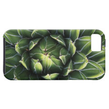 N.A., USA, Arizona, Tucson, Sonora Desert iPhone 5 Case