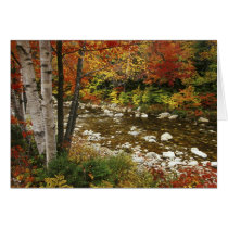 N.A., USA, New Hampshire, White Mountains,