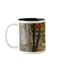 N.A., USA, New Hampshire, White Mountains, Coffee Mug
