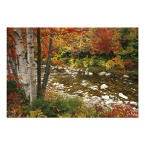 N.A., USA, New Hampshire, White Mountains,