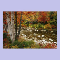 N.A., USA, New Hampshire, White Mountains, posters
