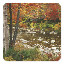 N.A., USA, New Hampshire, White Mountains,
