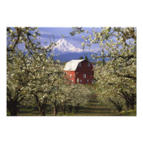 N.A., USA, Oregon, Hood River County. Red