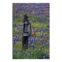 N.A., USA, Texas, Llano, Blue Lantern and Art Photo