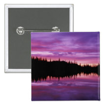 N.A., USA, Washington, Mt. Rainier National 2 Pinback Buttons